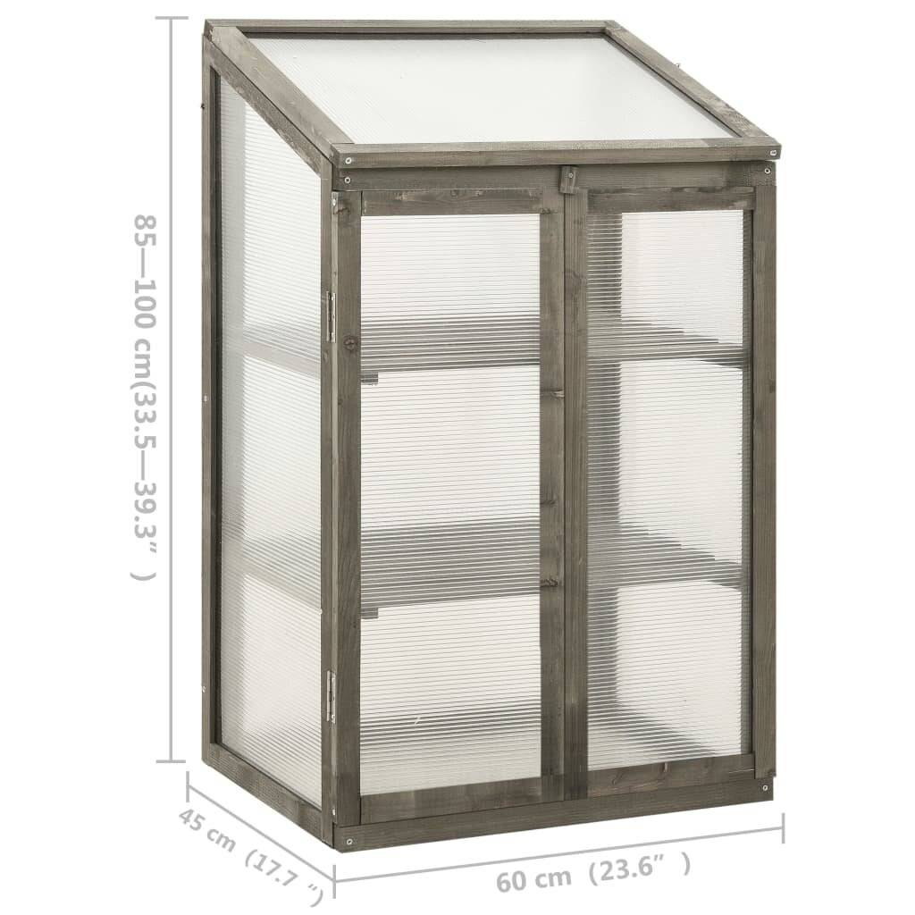 vidaXL Gewächshaus 60x45x100 cm Tannenholz-6
