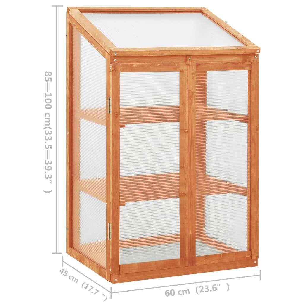 vidaXL Gewächshaus 60x45x100 cm Tannenholz-6