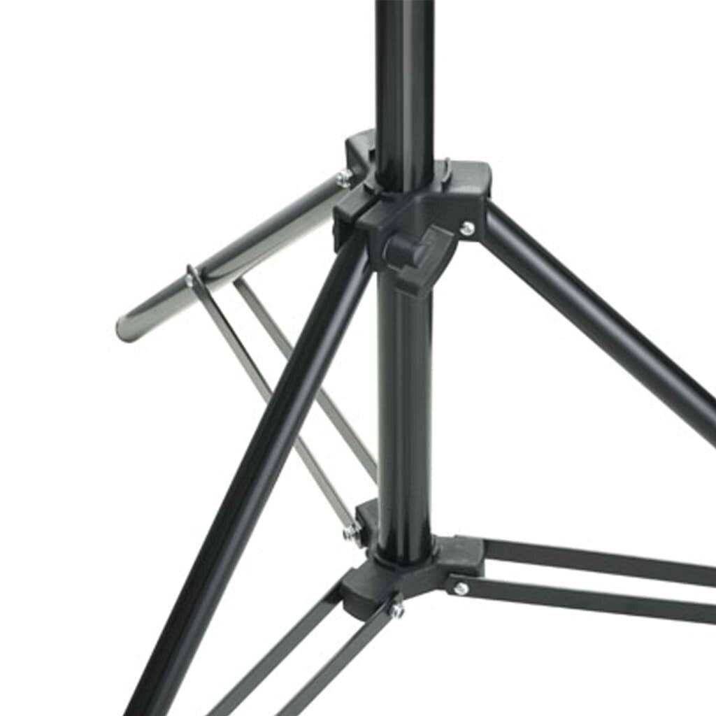 Symbolbild für Fotostudio-Set mit Softbox-Leuchten und Hintergrund