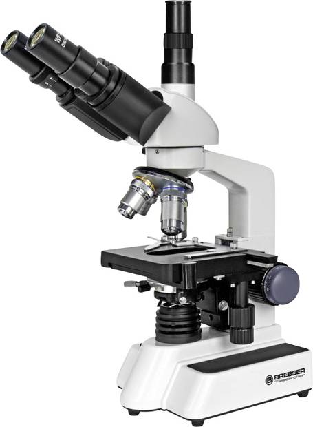 Ein Mikroskop mit drei Objektiven und zwei Okularen