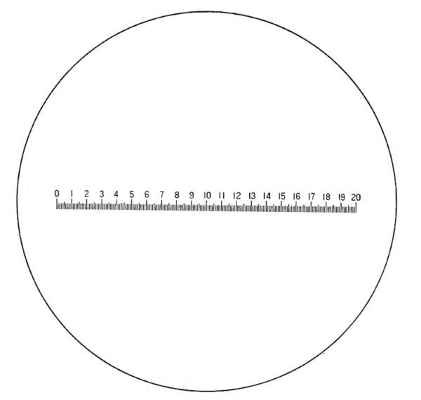Eschenbach 115204  Präzisionsskala   Linsengröße: (Ø) 23 mm
