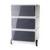 Rollcontainer easyBox® 2 Schubladen 2 Schübe flach weiß / anthrazit. PAPERFLOW S.A.S | | LE HUB BATEMENT 5