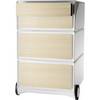 Rollcontainer easyBox® 2 Schubladen 2 Schübe flach weiß / Buche. PAPERFLOW S.A.S | | LE HUB BATEMENT 5 1ER