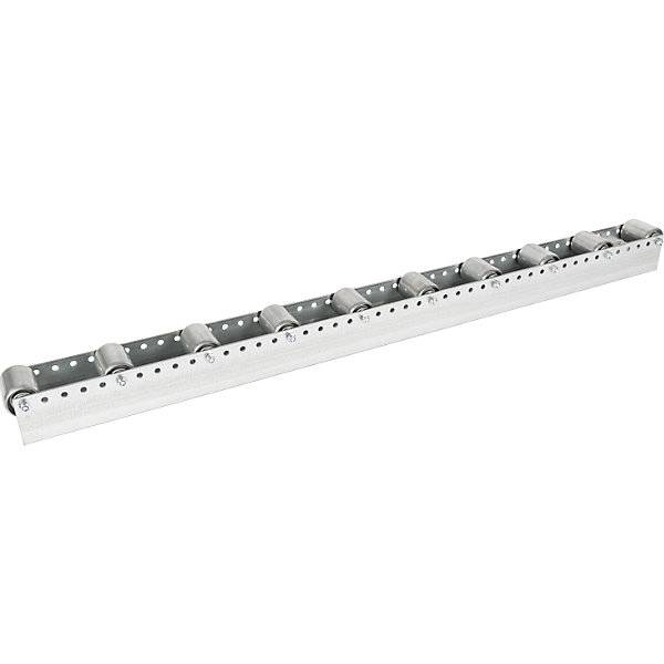 Rollenleiste mit Zylinderrollen Teilung 130 mm Ø 50 mm Stahl Länge 12 m. Euroroll GmbH 49950349-1