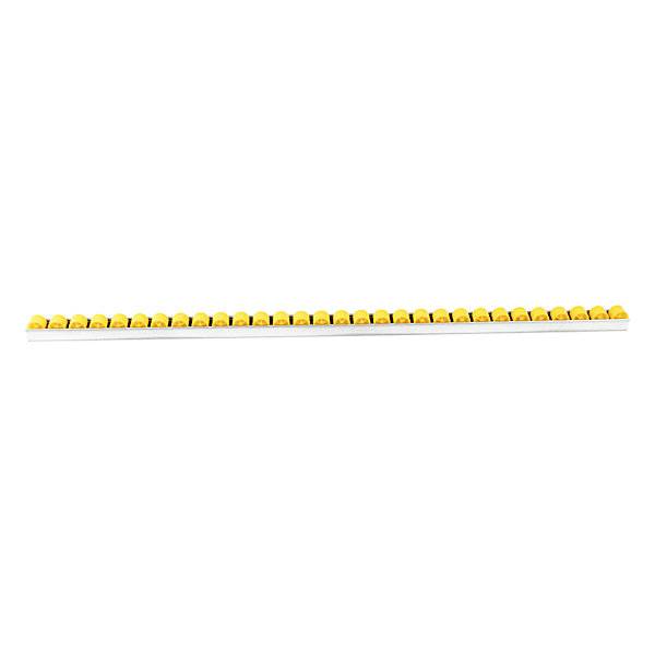 Rollenleiste mit Zylinderrollen Teilung 33 mm Ø 28 mm Kunststoff Länge 1 m. Euroroll GmbH 49947649-0