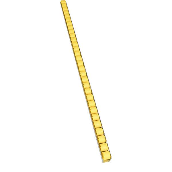 Rollenleiste mit Zylinderrollen Teilung 33 mm Ø 28 mm Kunststoff Länge 1 m. Euroroll GmbH 49947649-2
