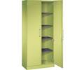 Flügeltürenschrank ASISTO Höhe 1980 mm Breite 800 mm 4 Fachböden viridingrün/viridingrün. C+P 53892049