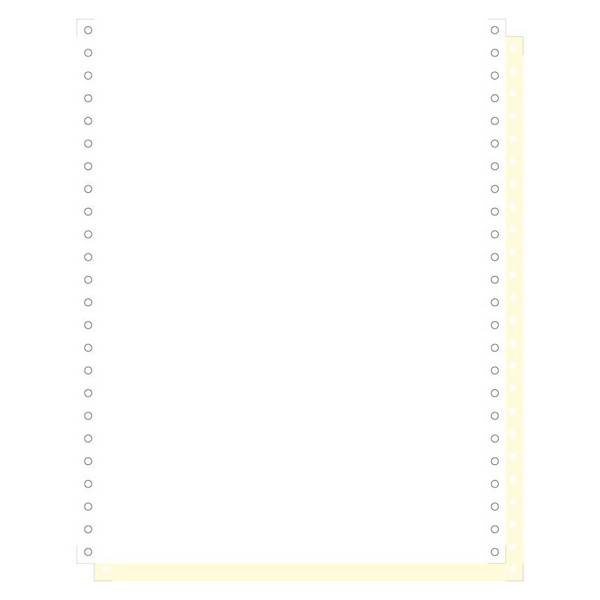 EXACOMPTA Computerpapier endlos, 240 mm x 12" (30,48 cm) (8701105)