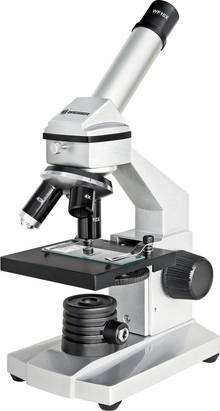 Aufbau eines Mikroskops für Kinder