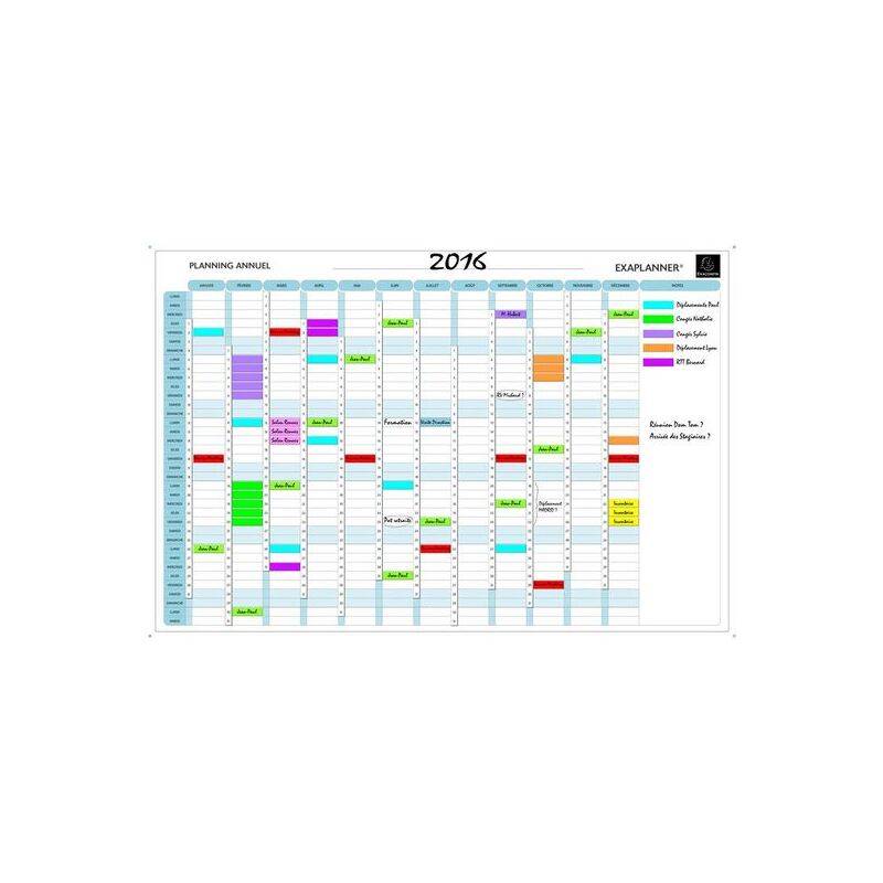 EXACOMPTA Planning annuel Exaplanner, (L)900 x (H)590 mm
