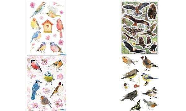 Papiersticker bunte Heimatvögel-2