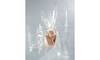 folia Zellglasbeutel 11,5 x 18,5 cm transparent 281