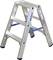 Eine silberne, klappbare Aluminiumleiter mit vier Stufen, geeignet für einfache Arbeiten im Haushalt oder in Handwerksbetrieben.