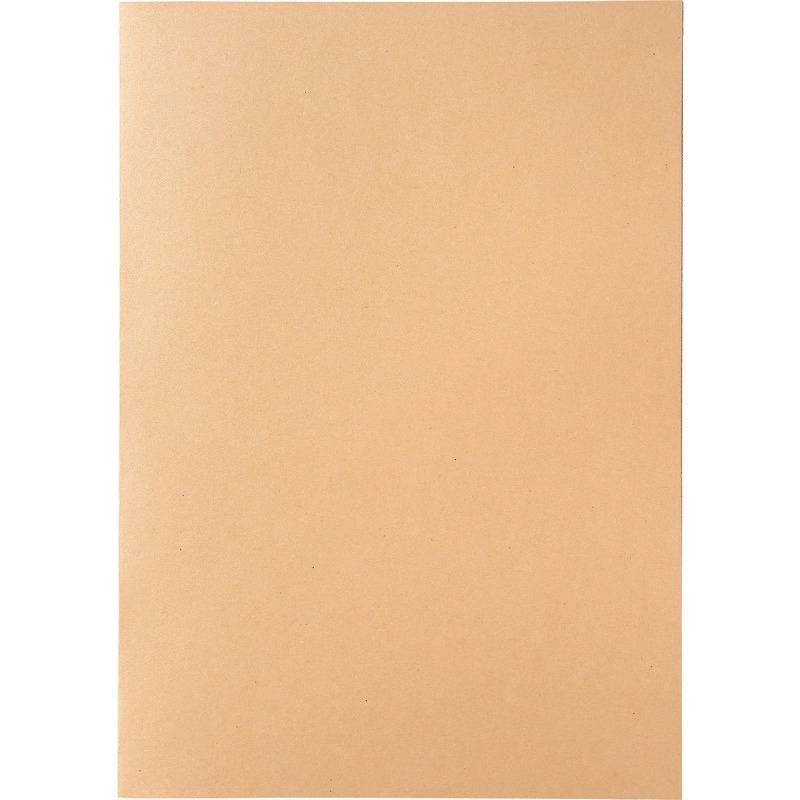 SoldanPlus Aktendeckel BASIC, chamois-0