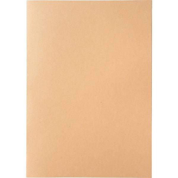 SoldanPlus Aktendeckel BASIC, chamois