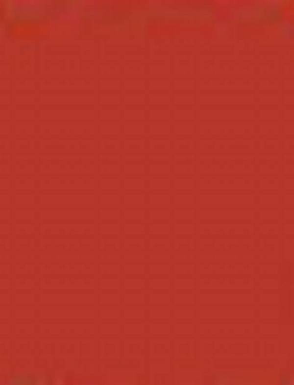folia Plakatkarton, (B)480 x (H)680 mm, weiß (57905985)