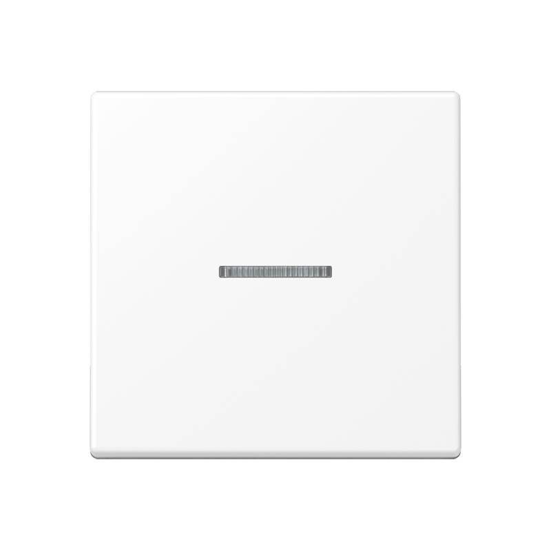 Jung KNX RF Taster 1fach A 10911 ST RF BF WWM-0