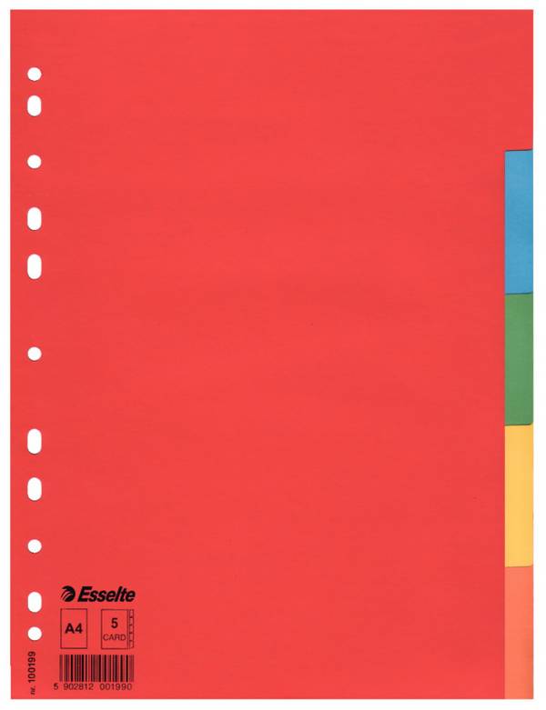 Kartonregister Blanko