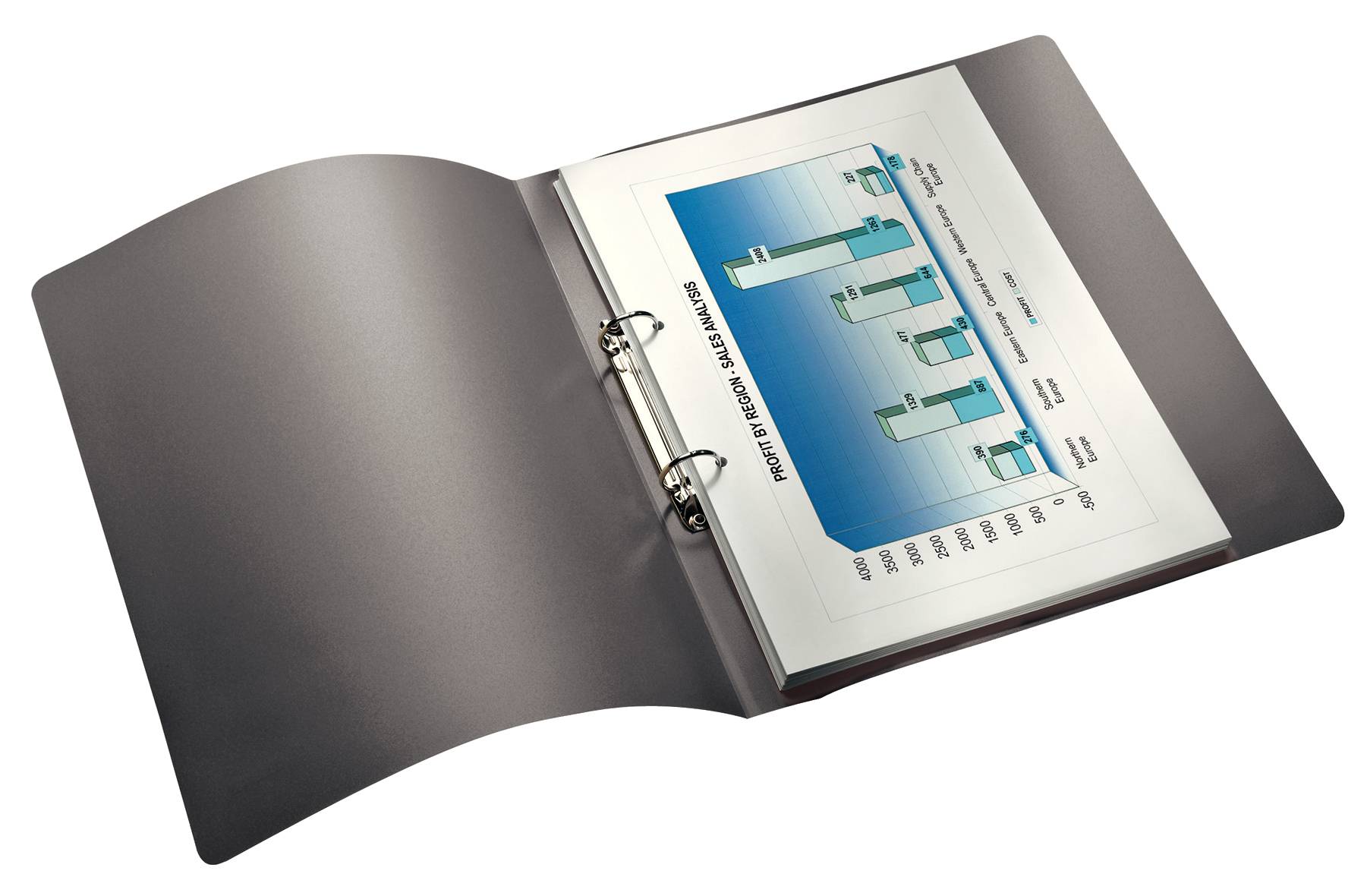 Ringbuch Solid - Leitz-1