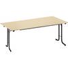Klapptisch mit abgerundeten Kanten Rundrohr-Gestell Plattenform rechteckig 1600 x 700 mm Gestell schwarz