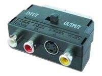 CCV-4415 - Video- / Audio-Adapter - SCART-0