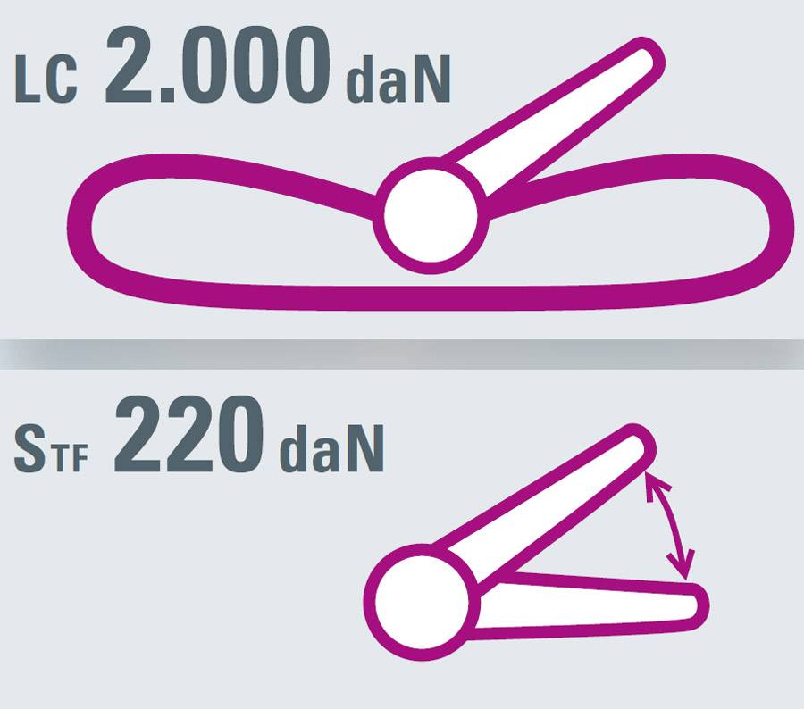 SAFETEX Zurrgurt „Blackline“ mit Druckratsche (WLL 2.000kg | 1-teilig | 35,0mm Bandbreite | Länge 2,00m) – schwarz-1