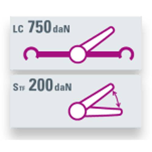 SAFETEX Zurrgurt "Blackline" mit Druckratsche & Bodenschienenanker (WLL 750kg | 2-teilig | 25,0mm Bandbreite | Länge-1