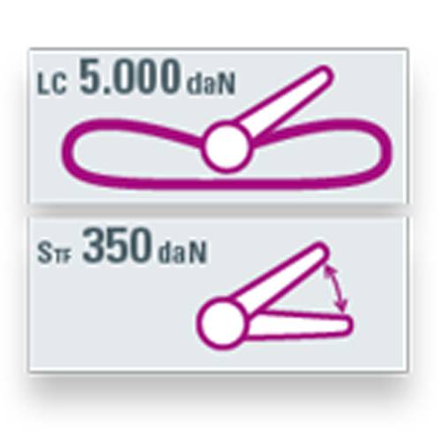 SAFETEX Zurrgurt "Blackline" mit Druckratsche (WLL 5.000kg | 1-teilig | 50,0mm Bandbreite | Länge 2,00m) - schwarz-1
