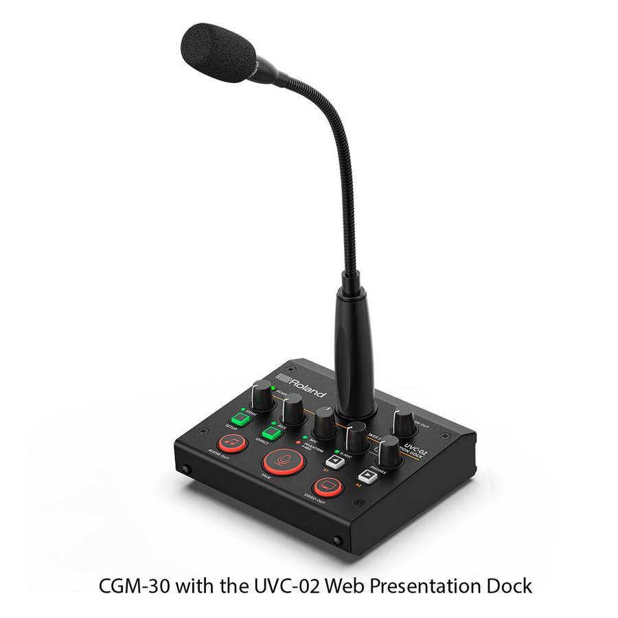 ROLAND CGM-30 - Kondensatormikrofon mit XLR-Ausgang und ausrichtbarem Schwanenhals (Länge: 30,0cm)-2