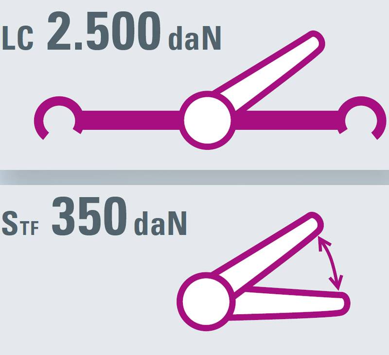 SAFETEX Zurrgurt „Blackline“ mit Druckratsche & Spitzhaken (WLL 2.500kg | 2-teilig | 50,0mm Bandbreite | Länge 6,00m) –-1