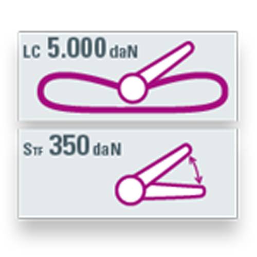SAFETEX Zurrgurt "Blackline" mit Druckratsche (WLL 5.000kg | 1-teilig | 50,0mm Bandbreite | Länge 6,00m) - schwarz-1