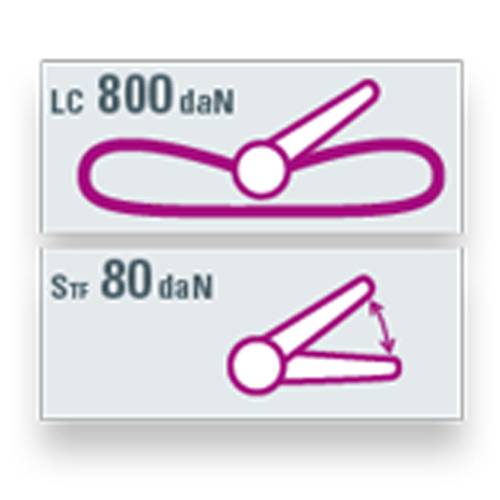SAFETEX Zurrgurt "Blackline" mit Druckratsche (WLL 800kg | 1-teilig | 25,0mm Bandbreite | Länge 6,00m) - schwarz-1