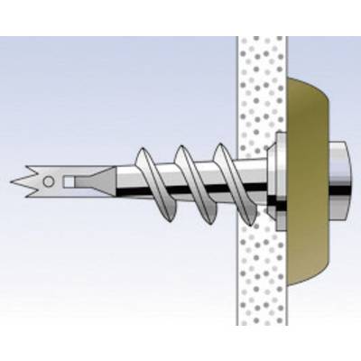 Metallischer Wanddübel bohrt sich in eine Wand. Die Schraube besitzt einen spiralförmigen Gewindegang und eine scharfe Spitze.