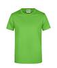Promo-T Man 180 Klassisches T-Shirt grün, Gr. 5XL