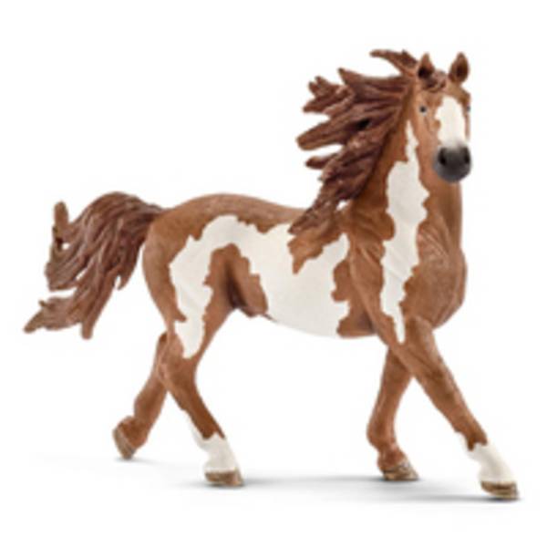 schleich FARM WORLD Pinto Hengst, 3 Jahr(e), Mehrfarbig, Kunststoff, 1 Stück(e)