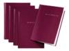 Pagna Basic Start - Klemmleistenordner - Rot (Packung mit 5)