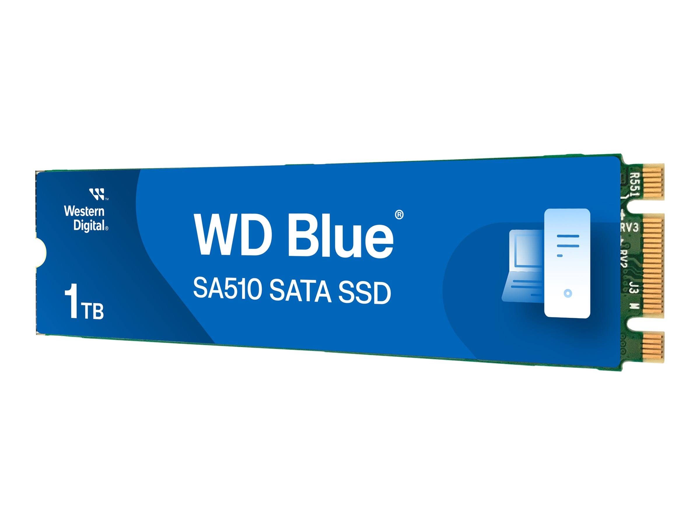 WD Blue SA510 WDS100T3B0B - SSD - 1 TB - intern-3