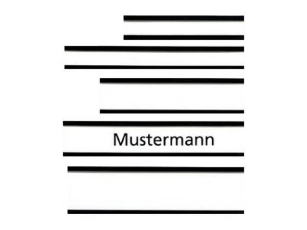 FRANKEN - Magnetetiketthalterung - 6 x 1.5 cm - braun (Packung mit 10)