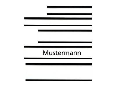 FRANKEN - Magnetetiketthalterung - 6 x 1.5 cm - braun (Packung mit 10)-0