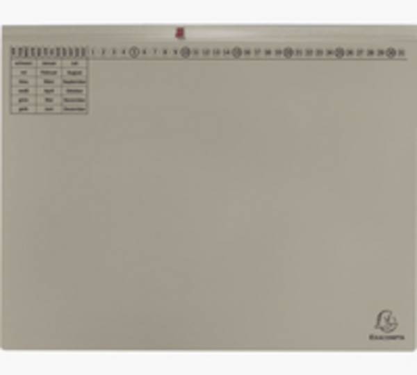 Exacompta 370310B, Karton, Grau, 320 g/m², 265 mm, 316 mm, 1 Stück(e)