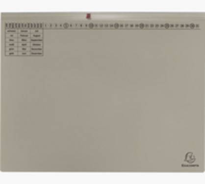 Exacompta 370310B, Karton, Grau, 320 g/m², 265 mm, 316 mm, 1 Stück(e)