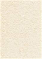 Sigel Textured Paper DP655 - Champagnerfarben - A4 (210 x 297 mm)-1