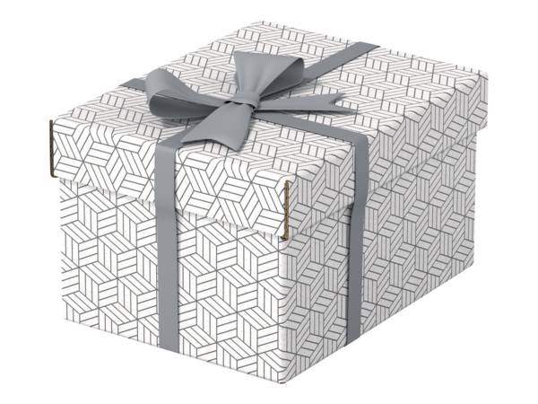 ESSELTE LEITZ - Esselte - Geschenkkarton - small - 25.5 cm x 20 cm x 15 cm
