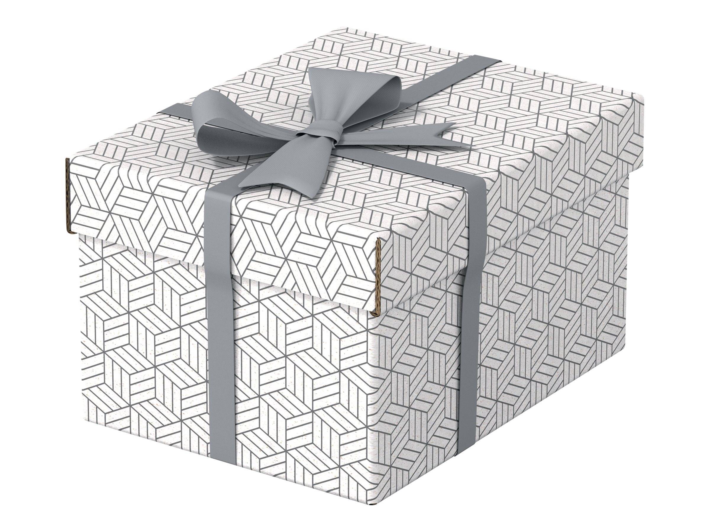 ESSELTE LEITZ - Esselte - Geschenkkarton - small - 25.5 cm x 20 cm x 15 cm-0