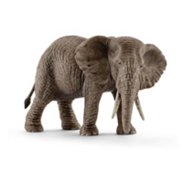 schleich WILD LIFE Afrikanische Elefantenkuh, 3 Jahr(e), Mehrfarbig, Kunststoff, 1 Stück(e)