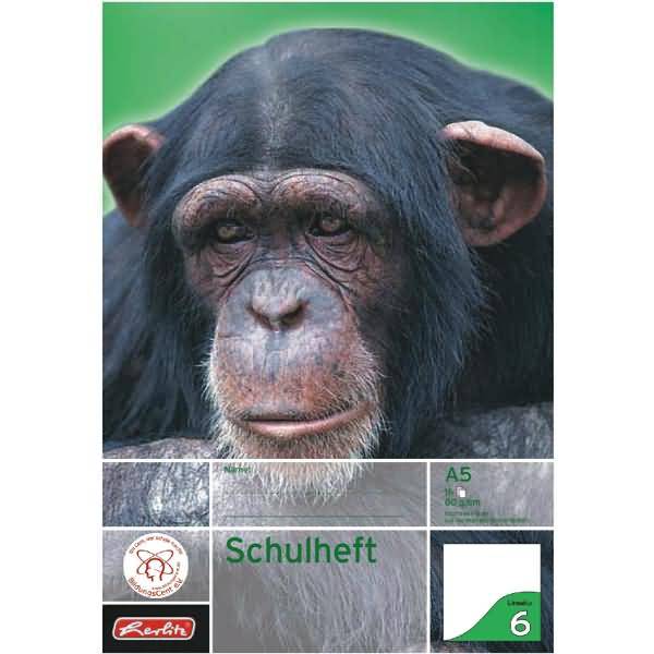 Schulheft A5 16 Blatt Lineatur 06