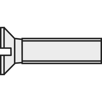 TOOLCRAFT  839954 Senkschrauben M3 16 mm Schlitz DIN 963   Kunststoff, Polyamid  10 St.