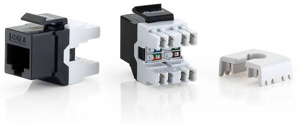 Equip Professional - Modulare Eingabe - CAT 6 - UTP - RJ-45 (Packung mit 8)
