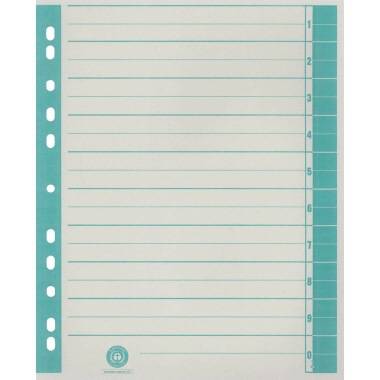 Trennblatt RC Karton A4 ch/gn 100 St. 9541101100-0