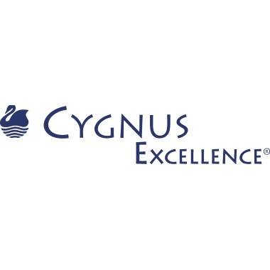 MAILmedia Briefumschlag CYGNUS EXCELLENCE, DIN lang-1